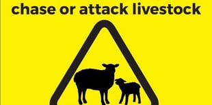 Police issue warning after poultry killed 