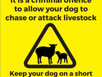 Police issue warning after poultry killed 
