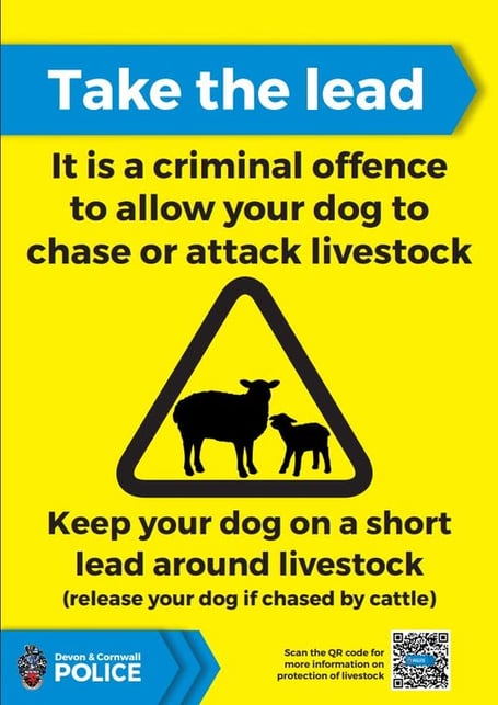 Police are urging dog owners to keep their pets under close control after reports of poultry being killed in Saltash