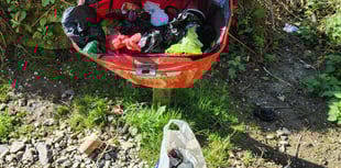 Forestry England issues rubbish plea