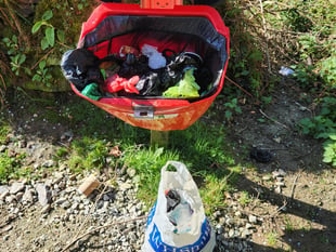 Forestry England issues rubbish plea