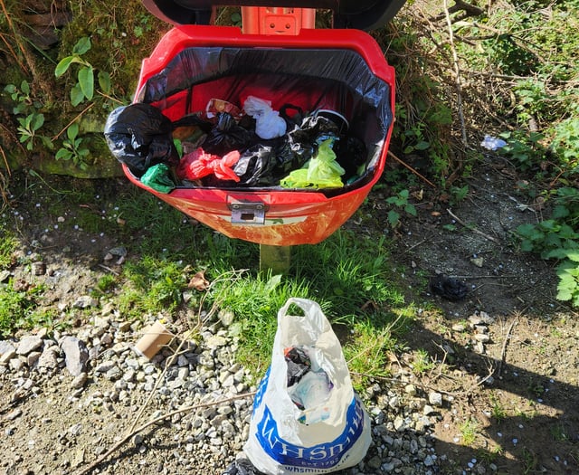 Forestry England issues rubbish plea