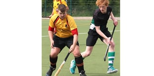 Draw guarantees Caradon second in Division Two South