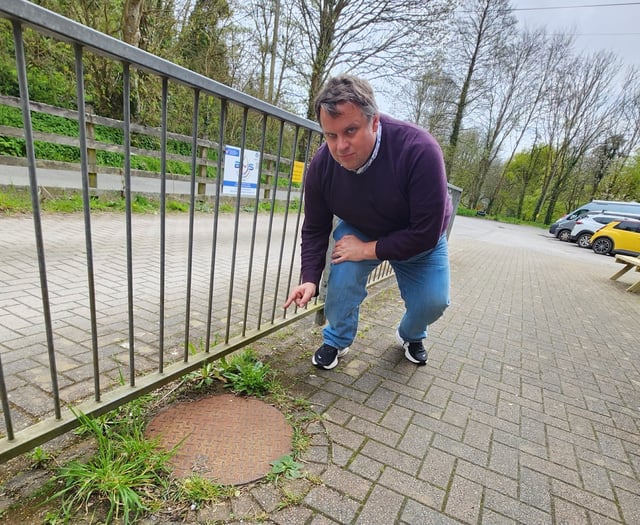 LONG READ: Anger at council’s decision to use chemical weedkiller