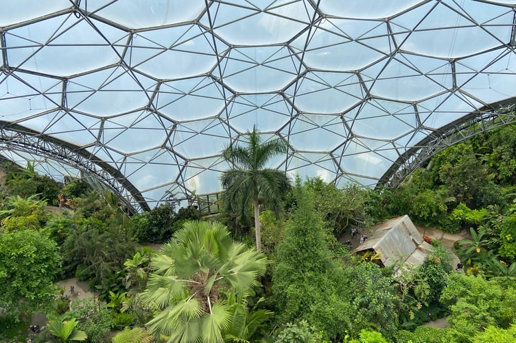 The live online lesson will be streamed from the rainforest biome at the Eden Project. (Picture: Andrew Townsend)