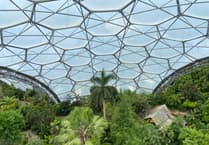 Eden Project in Cornwall to stream live lesson from rainforest biome