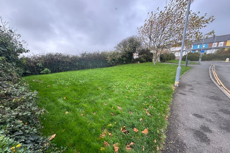 The grassed roadside parcel of land up for auction at Windmill in Fowey.