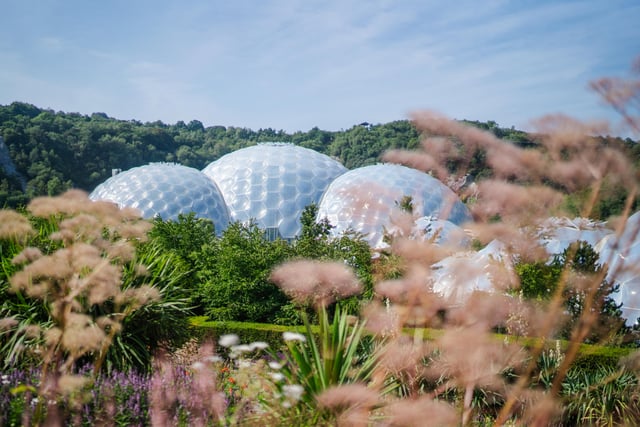 Award-winning wildlife photography exhibition returning to Eden