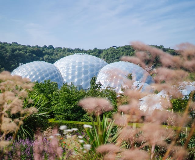 Eden to create a big buzz with Lloyd of the Flies experience