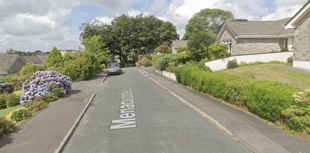 Man sentenced for biting police officer 