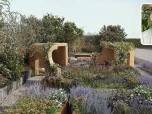 Chelsea spotlight for Fowey designer’s cancer awareness garden