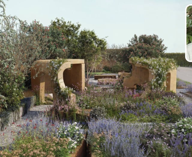 Chelsea spotlight for Fowey designer’s cancer awareness garden