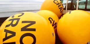 Beach swim zone launched for summer safety