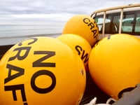 Beach swim zone launched for summer safety