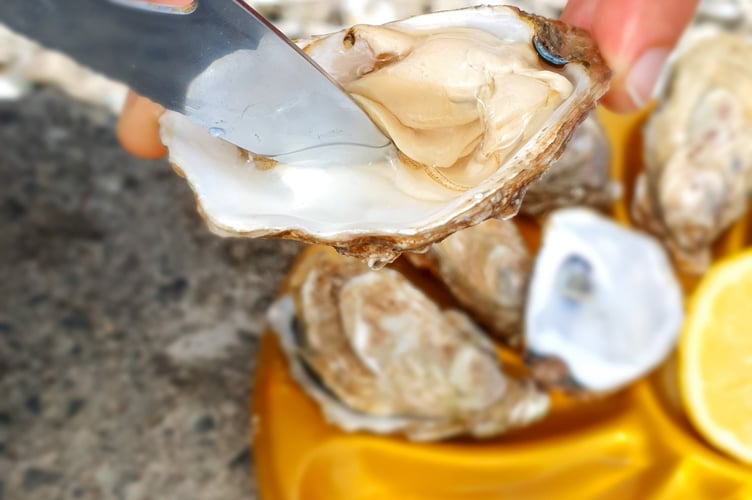 Â©SMBMSM - DÃ©gustation au MarchÃ© aux HuÃ®tres - Port de la Houle - Cancale