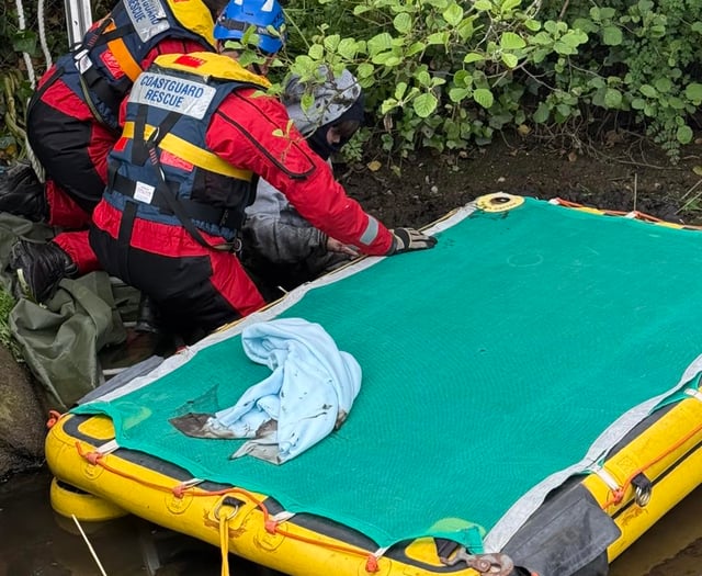 Man stuck up to his waist in mud