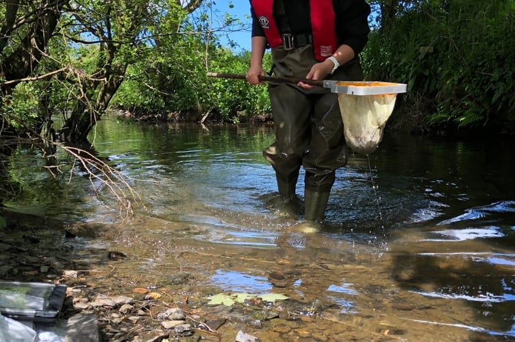 An estimated 2,300 gallons of digestate  affected around 3.5km of the River Otter. 