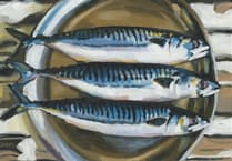 Cornucopia of colour and creativity as Cornwall Open Studios 2026 commences