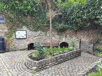 Ancient tradition to be introduced in village 