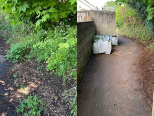 NCB Radio: From weeds to big lunches - a community bulletin