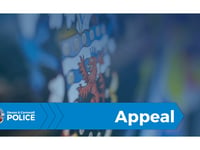 Woman in her 80s dies following collision near Bodmin