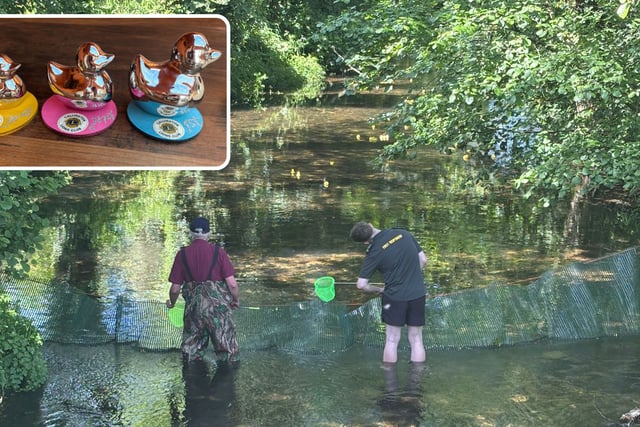 Community comes together for successful Lions duck race
