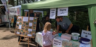 Summer Fair to showcase High Wood’s woodland revival project