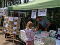 Summer Fair to showcase High Wood’s woodland revival project