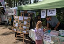 Summer Fair to showcase High Wood’s woodland revival project
