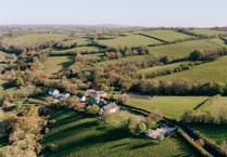 Trewidland School completes biodiversity project in just eight weeks