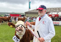 Join us as we explore Royal Cornwall Show on day one