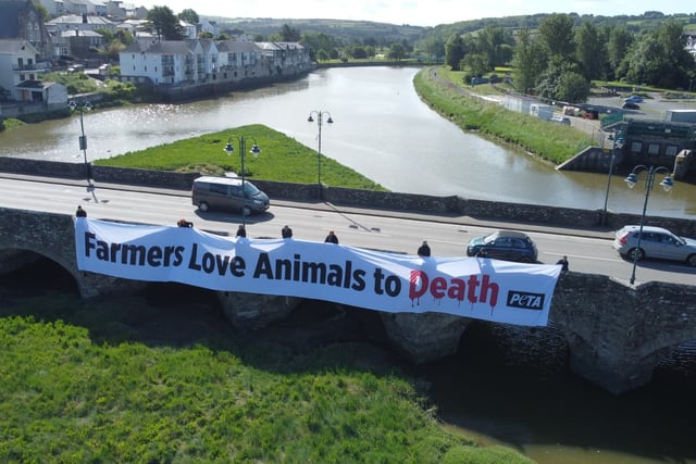 PETA campaigners send anti-meat message to show attendees