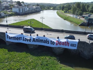 PETA campaigners send anti-meat message to show attendees