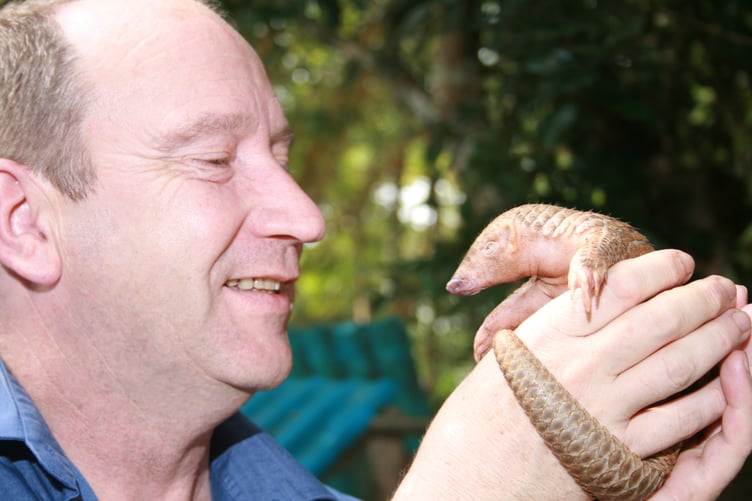 Stewart Muir with a baby pangolin