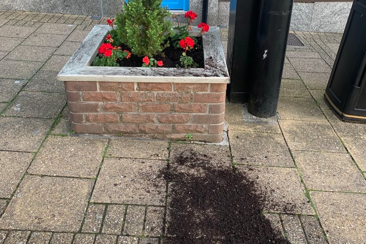 Saltash Town Council revealed some of the flowers planted in Fore Street have been taken from public planters