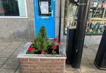 Town centre floral displays taken days after planting