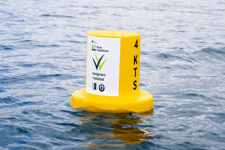 Sensitive Habitat Marker Buoys.