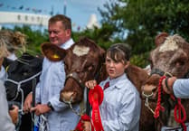 COMPETITION TIME: Win Stithians Show tickets
