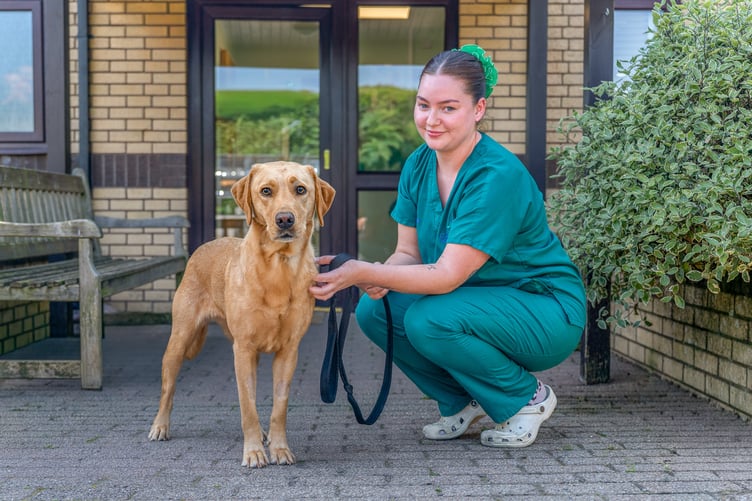 Three-year-old Nelly, who was rushed to Calweton Veterinary Group in Callington, seen with nurse Daisy Barker