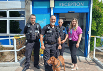 Drug detection dog joins police for Saltash school awareness visit