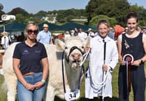 Liskeard Show draws huge crowds in glorious sunshine
