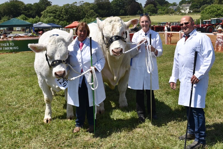 Liskeard Show is able to draw upon some of the very best livestock the county has to offer (Picture: Jon Harris Photography)