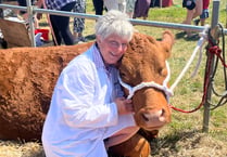 Stithians Show: Records, sunshine and smiles