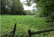 Bid to build houses near Par met with strong objections
