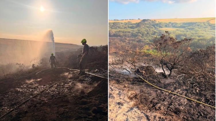 St Just Wildfire