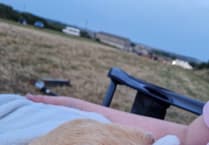 Garage receives rave review after rescuing guinea pig