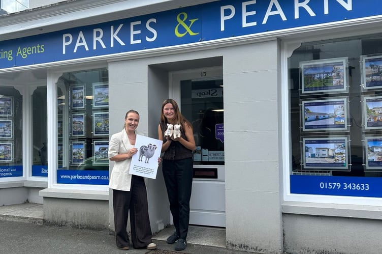 Staff at Parkes & Pearn Estate Agents are taking part in Samuel’s Market Day Safari, a free trail bringing a touch of the countryside back to the high street