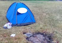 Tinder-dry park hit by illegal campfire