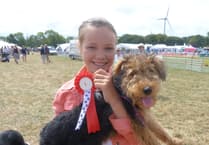 No livestock? No Problem. Launceston Show pulls out all the stops