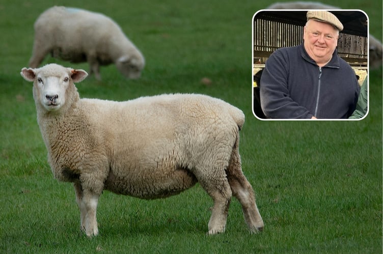 Councillor Tom O'Sullivan has suggested that their would be benefits to the reintroduction of the on-site burial of fallen livestock